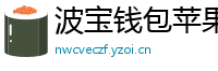 波宝钱包苹果版安装教程